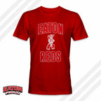 Distressed Indian Spirit Shirt